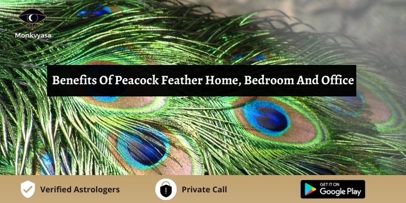 https://www.monkvyasa.com/public/assets/monk-vyasa/img/Benefits Of Peacock Feather Home
jpg